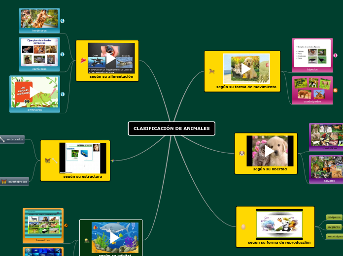 CLASIFICACIÓN DE ANIMALES presentador