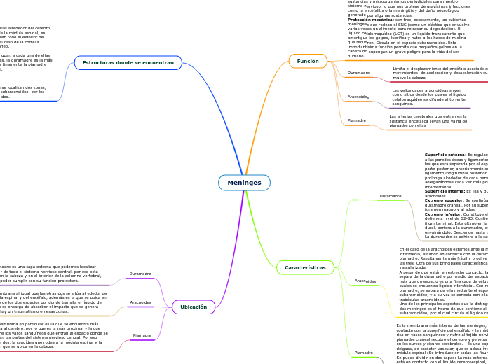 Meninges