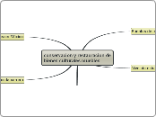 conservacion y restauracion de bienes culturales