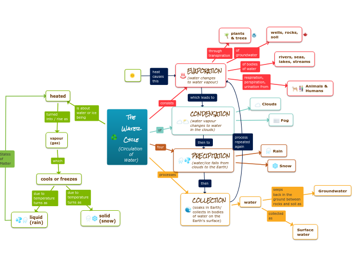 The
Water
Cycle
(Circulation 
of
Water)