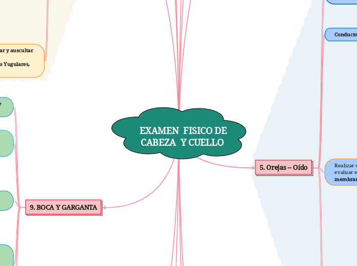  EXAMEN  FISICO DE  CABEZA  Y CUELLO