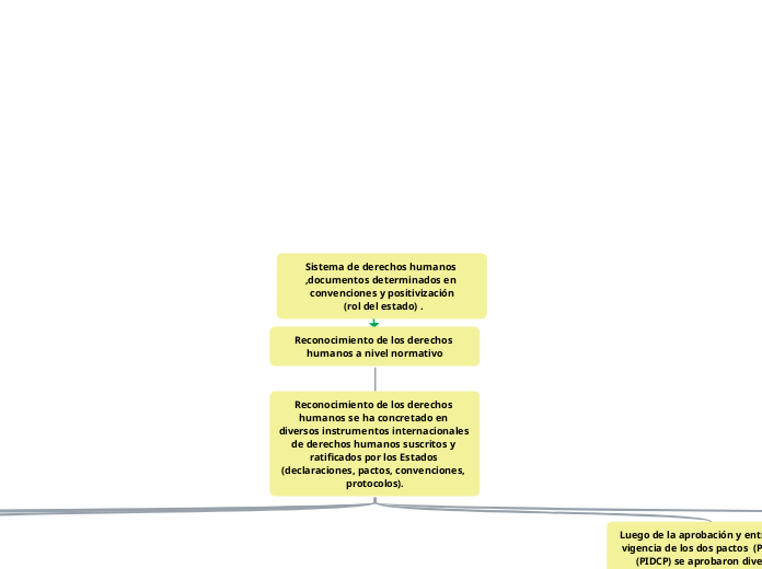 Sistema de derechos humanos ,documentos determinados en convenciones y positivización
 (rol del estado) .