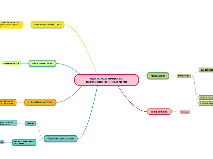 ANATOMÍA APARATO REPRODUCTOR FEMENINO