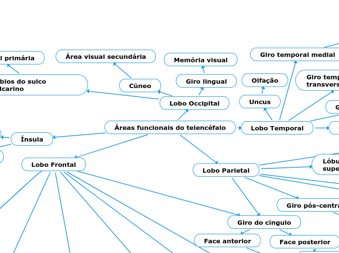 Áreas funcionais do telencéfalo