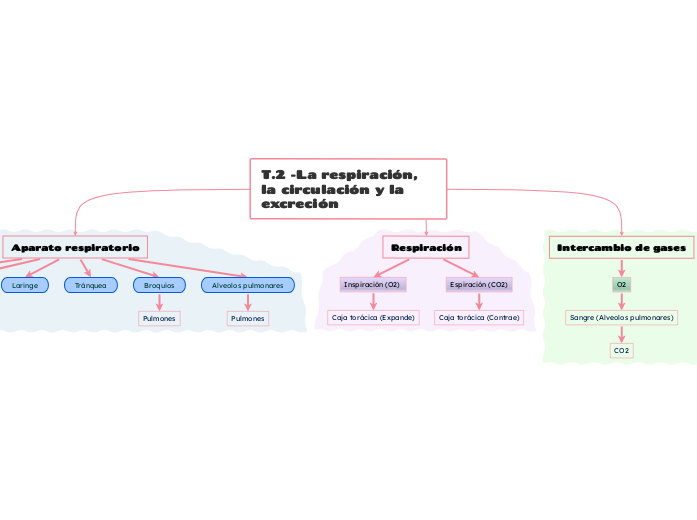 T.2 -La respiración, la circulación y la excreción 