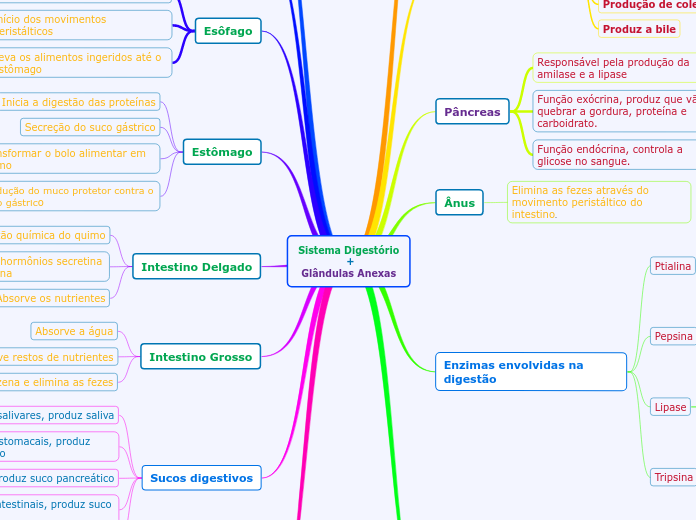 Sistema Digestório +Glândulas Anexas