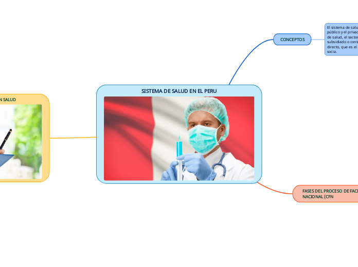 SISTEMA DE SALUD EN EL PERU