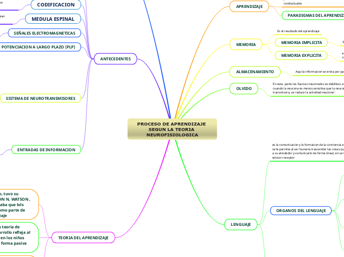 PROCESO DE APRENDIZAJE SEGUN LA TEORIA NEUROFISIOLOGICA