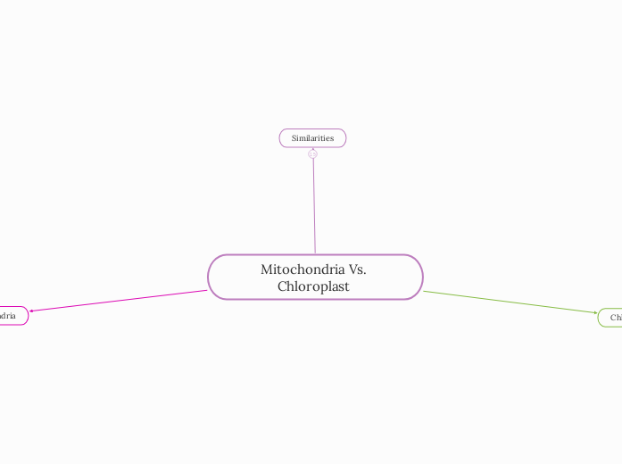 Mitochondria Vs. Chloroplast 