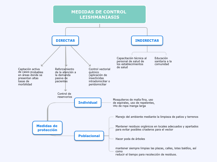 Organigrama