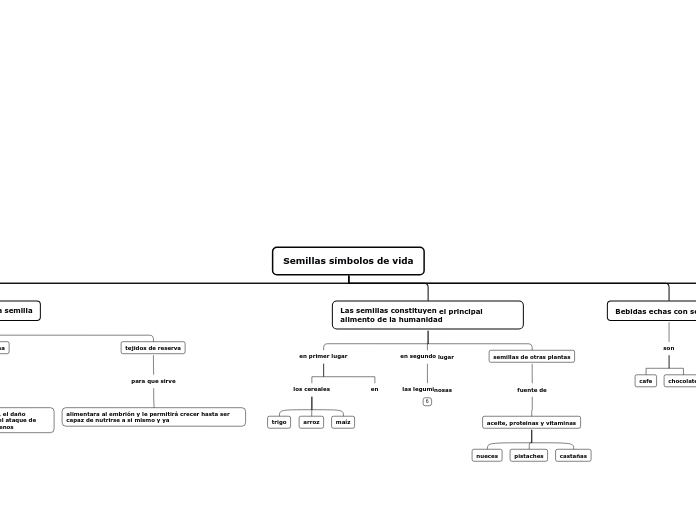 Semillas símbolos de vida