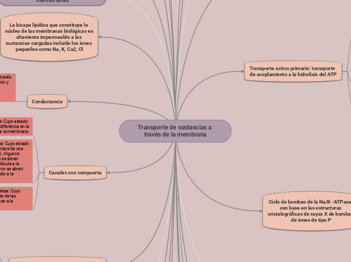 Transporte de sustancias a través de la membrana