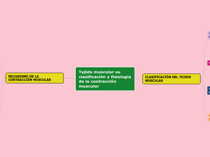 Tejido muscular su clasificación y fisiología de la contracción muscular