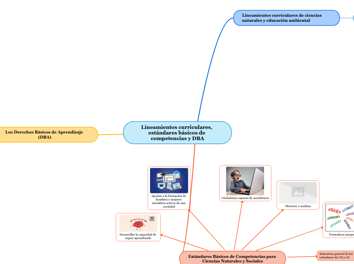 Lineamientos curriculares, estándares básicos de competencias y DBA