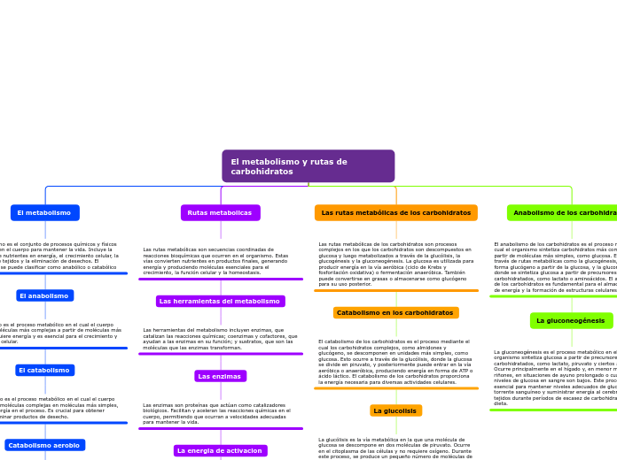 El metabolismo y rutas de                                             carbohidratos   