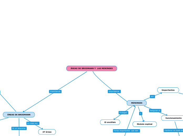 ÁREAS DE BRODMANN Y  LAS MENINGES