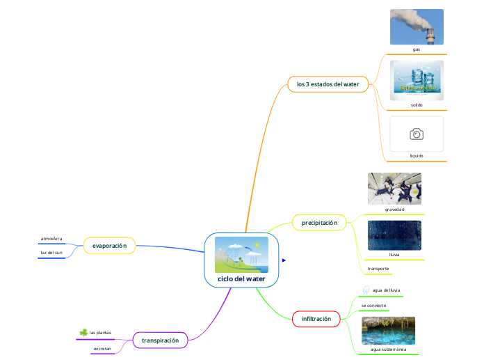 ciclo del water