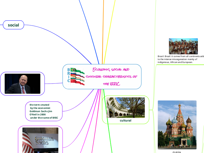 Economic, social and cultural characteristics of the BRIC