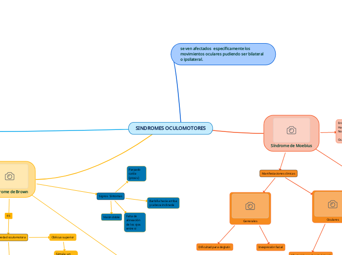 SINDROMES OCULOMOTORES