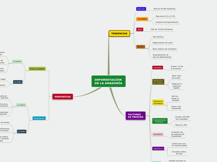 DEFORESTACIÓN 
DE LA AMAZONÍA