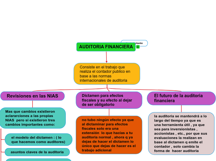 AUDITORIA FINANCIERA