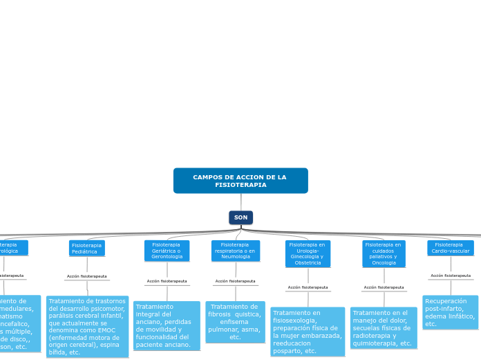 CAMPOS DE ACCION DE LA FISIOTERAPIA