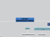 Incidencia de los factores microsociales en Maras