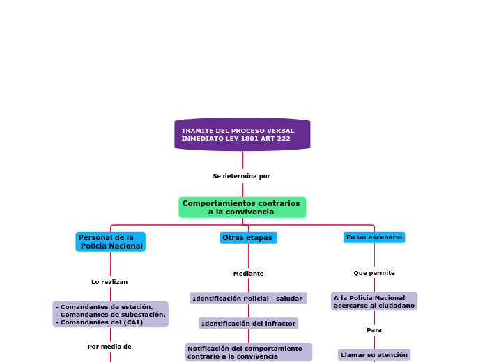 TRAMITE DEL PROCESO VERBAL INMEDIATO LEY 1801 ART 222