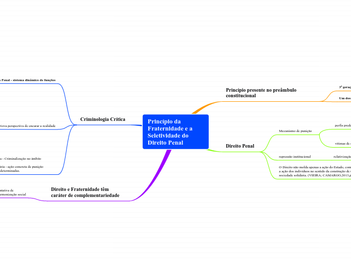 Princípio da Fraternidade e a Seletividade do Direito Penal