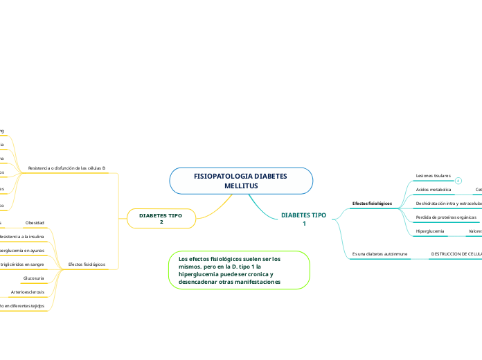 FISIOPATOLOGIA DIABETES MELLITUS