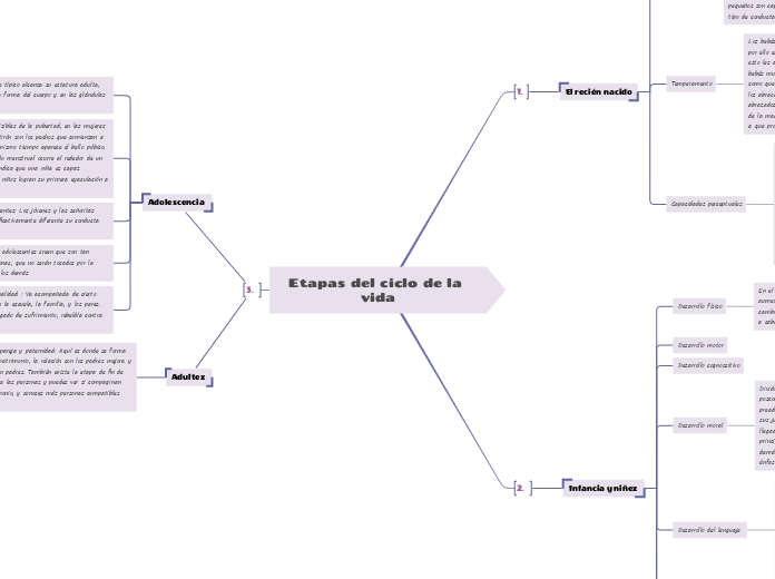 Etapas del ciclo de la vida