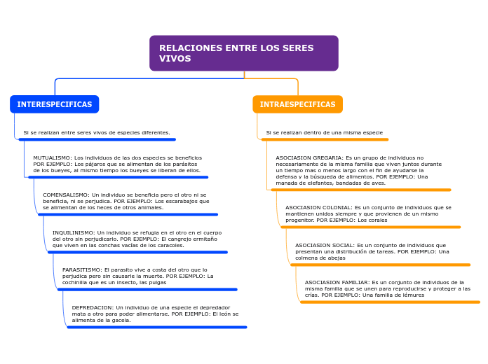 Organigrama arbol