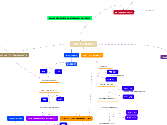Rutas Metabólicas