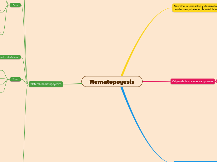 Hematopoyesis