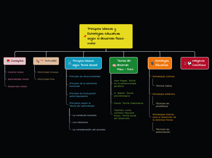 Principios basicos y estrategias del desarrollo fisico motor