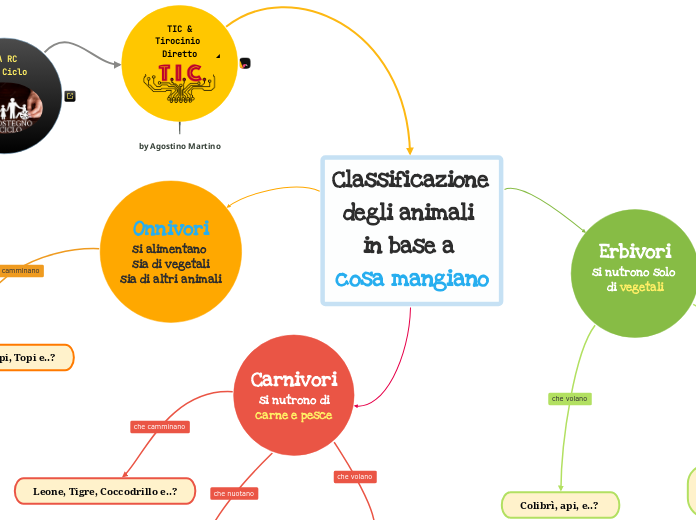 Classificazione degli animali in base a cosa mangiano