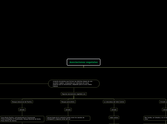 Organigrama arbol