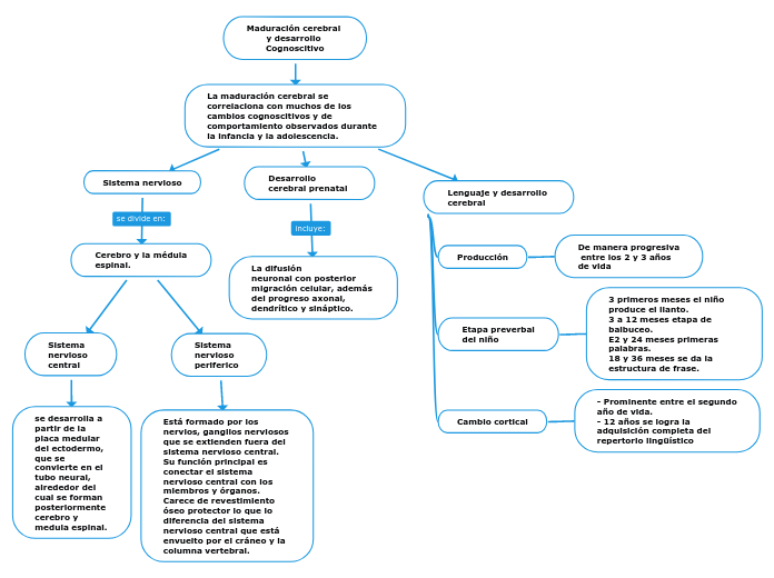 Maduración cerebral y desarrollo 
Cognoscitivo