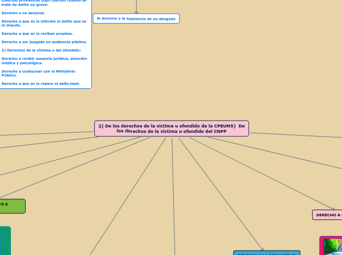 2) De los derechos de la victima u ofendido de la CPEUM5)  De los derechos de la victima u ofendido del CNPP