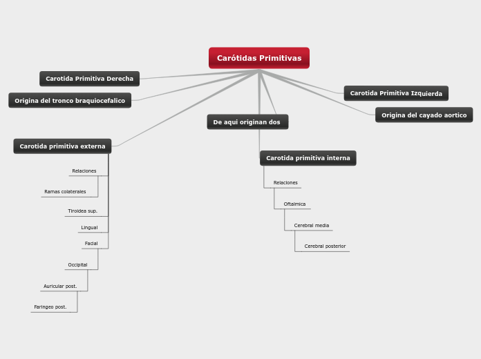 Carótidas Primitivas 