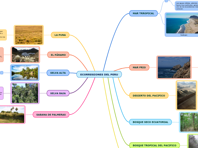 ECORREGIONES DEL PERU