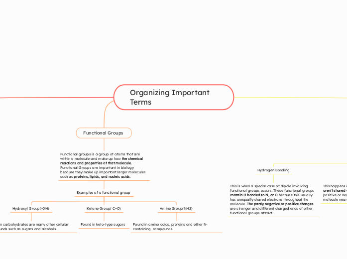 Organizing Important Terms 