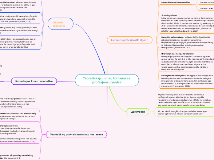 Teoretisk grunnlag for læreres profesjonsutøvelse