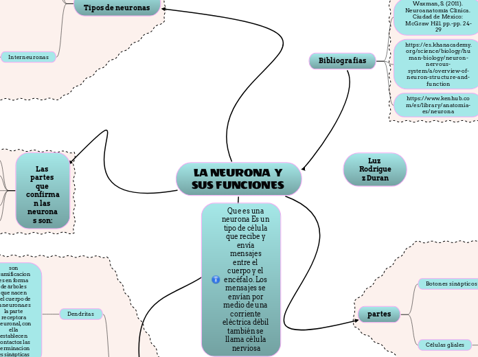 LA NEURONA  Y SUS FUNCIONES 