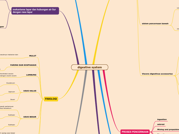 digestive system