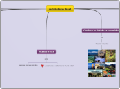 metabolismo lineal y circular 