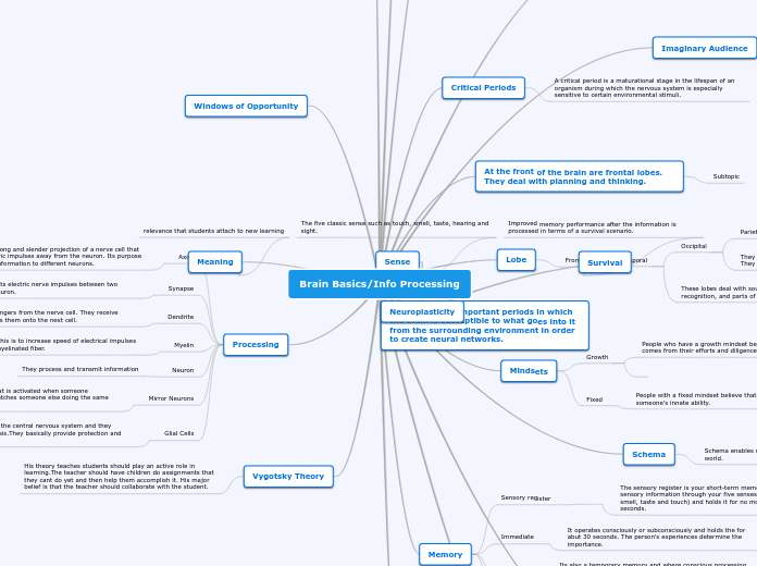 Brain Basics/Info Processing