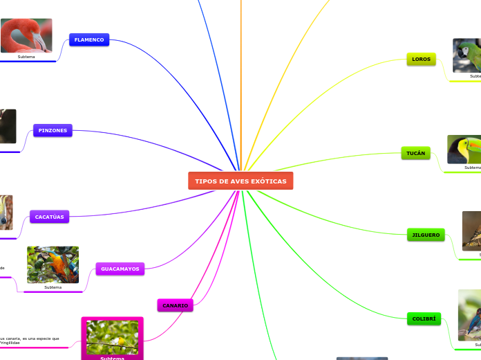 TIPOS DE AVES EXÓTICAS