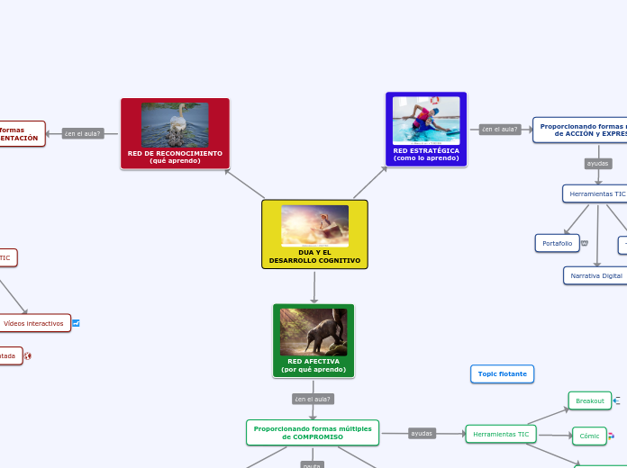 DUA Y EL
DESARROLLO COGNITIVO