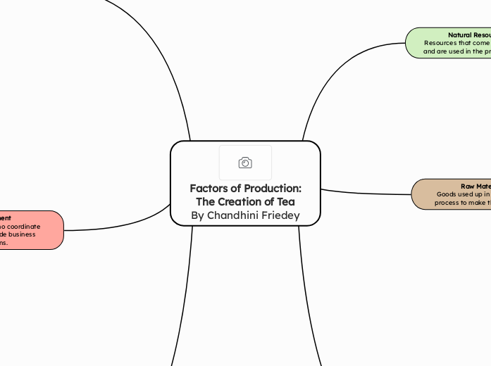 Factors of Production:
The Creation of Tea
By Chandhini Friedey
